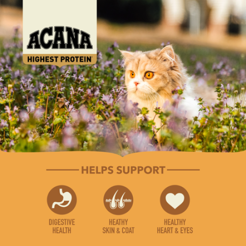 ACANA 4.5kg Highest Protein ((Wild Prairie)) All Life Stages 愛肯拿 地域素材 牧場貓 全貓糧 4.5kg {原裝行貨} 新包裝 (ACWP45K) ACANA 4.5kg Highest Protein ((Wild Prairie)) All Life Stages 愛肯拿 地域素材 牧場貓 全貓糧 4.5kg {原裝行貨} 新包裝 (ACWP45K)